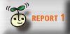 REPORT 1